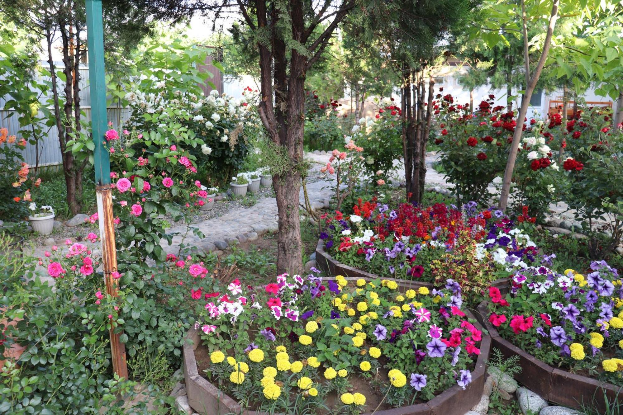 Happy Nomads Yurts & Hostel Karakol Eksteriør bilde
