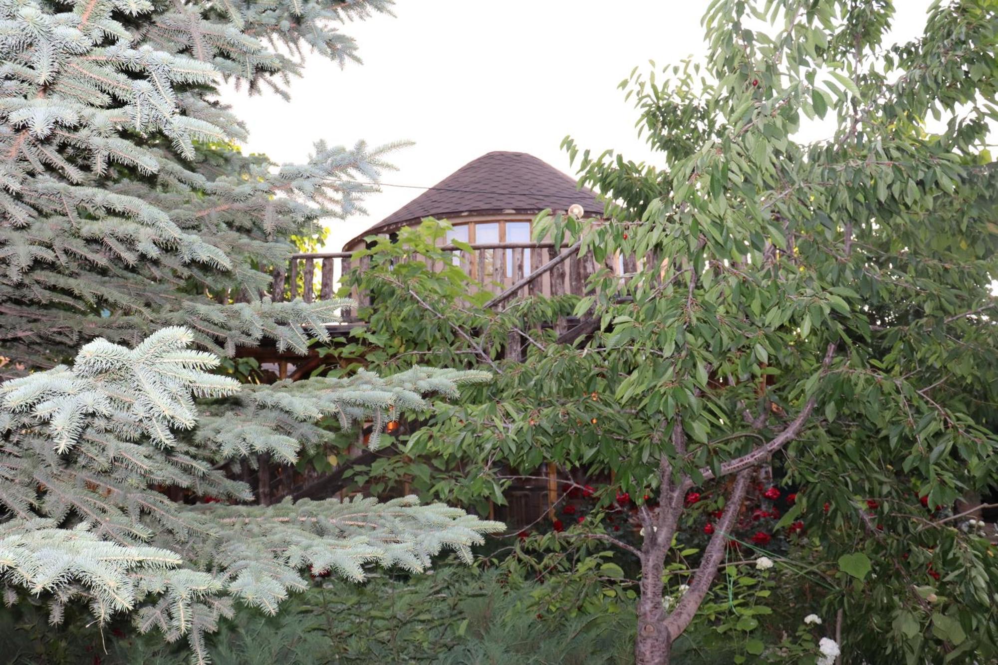 Happy Nomads Yurts & Hostel Karakol Eksteriør bilde