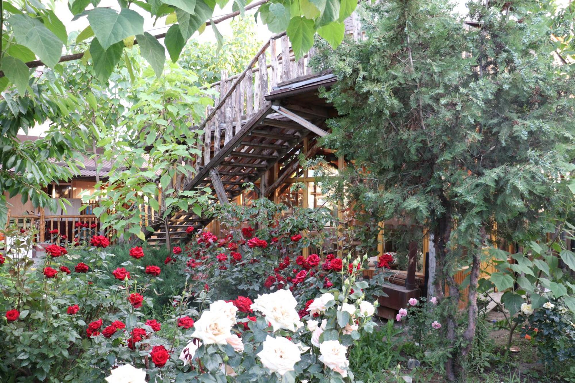 Happy Nomads Yurts & Hostel Karakol Eksteriør bilde
