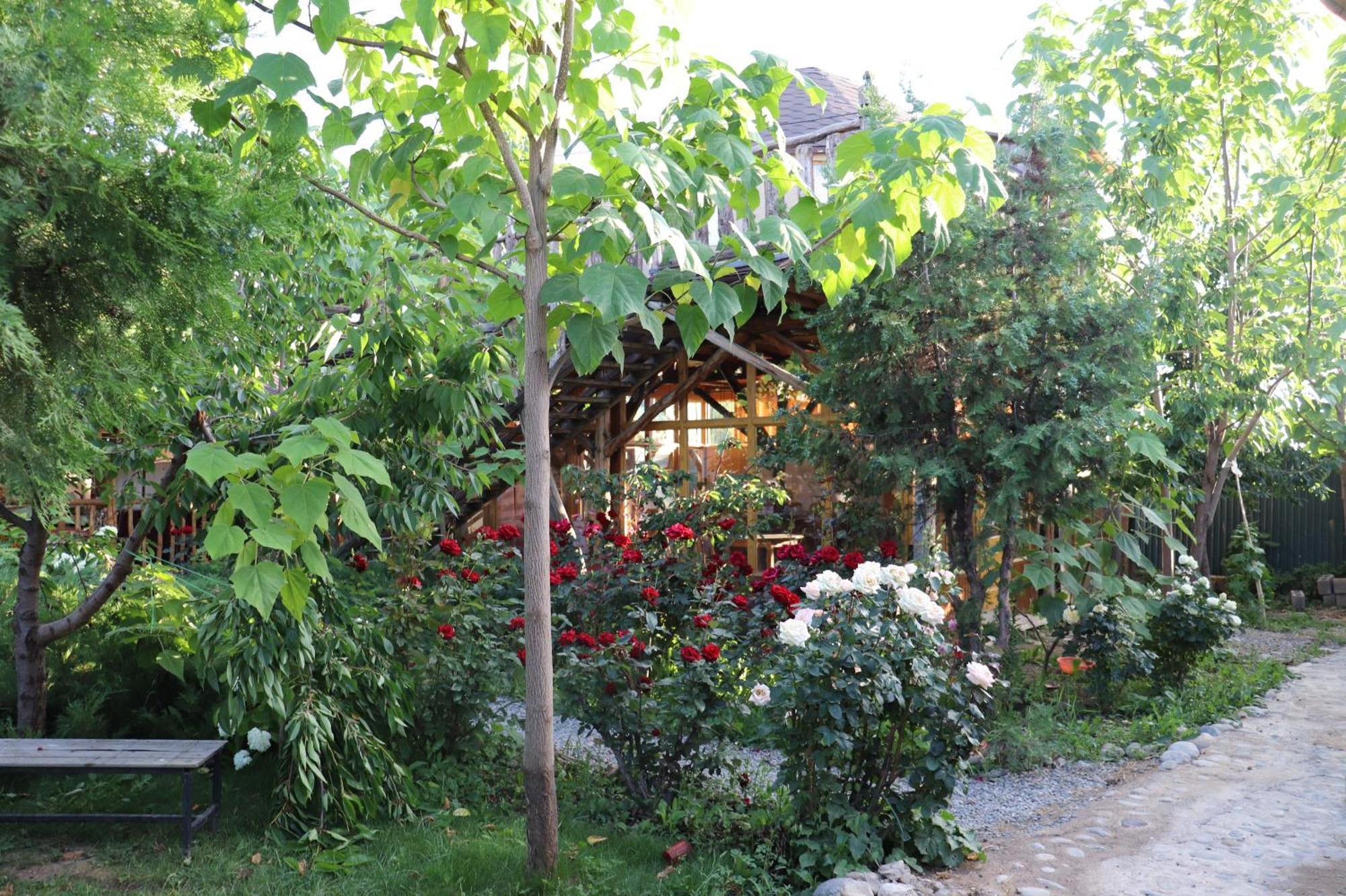 Happy Nomads Yurts & Hostel Karakol Eksteriør bilde