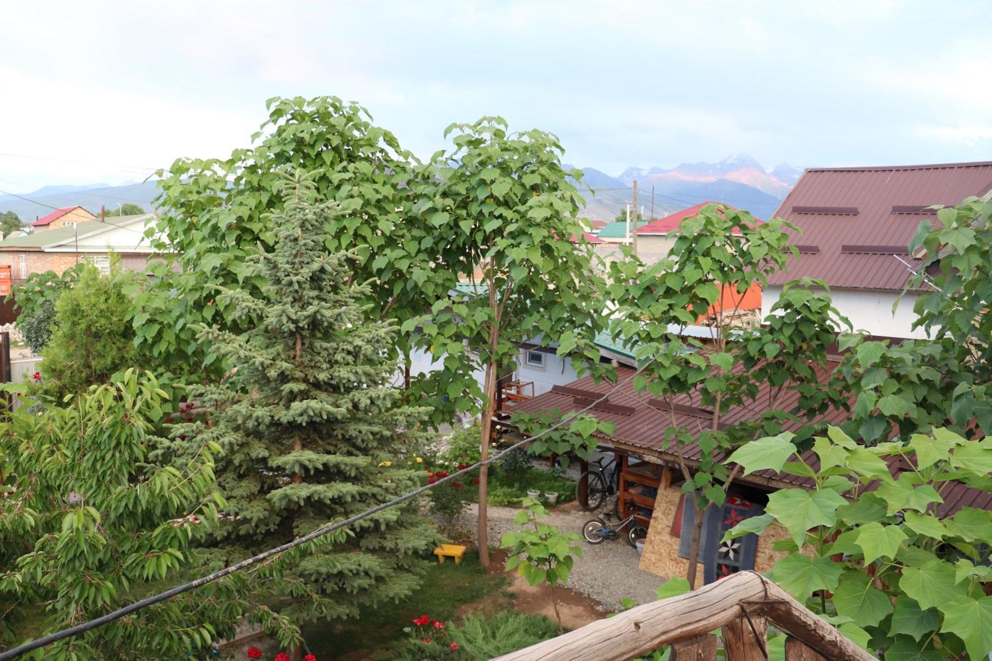 Happy Nomads Yurts & Hostel Karakol Eksteriør bilde