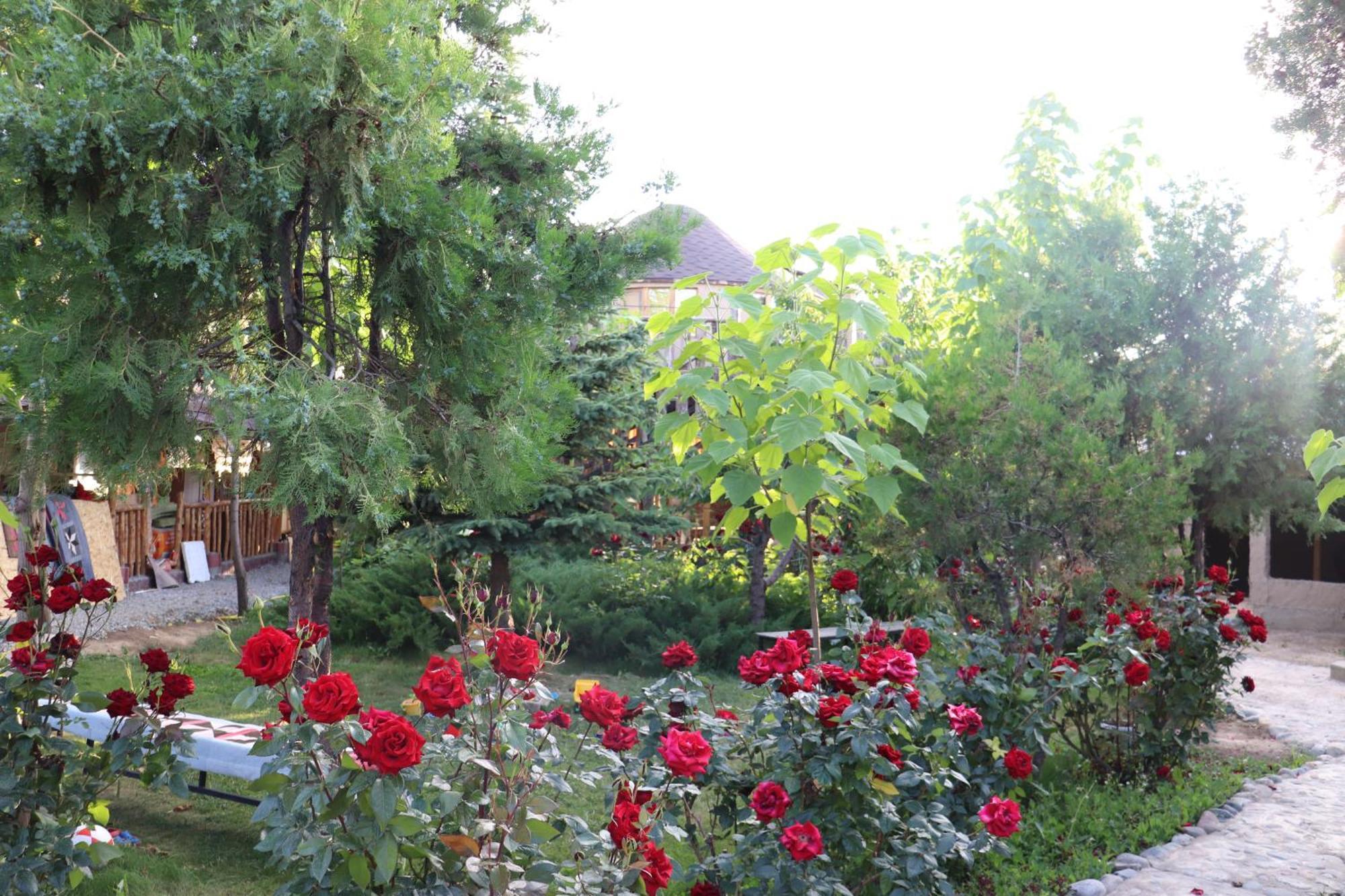 Happy Nomads Yurts & Hostel Karakol Eksteriør bilde