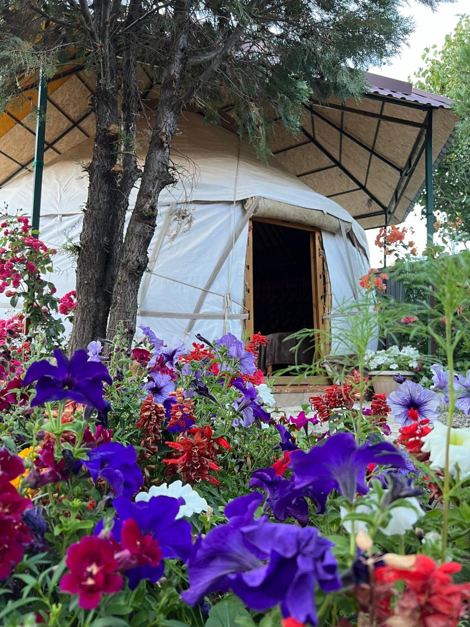 Happy Nomads Yurts & Hostel Karakol Eksteriør bilde